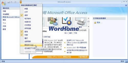 Access2007ѸLߙڡӸ