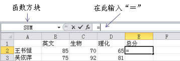 excel2010ʽݔ뷽