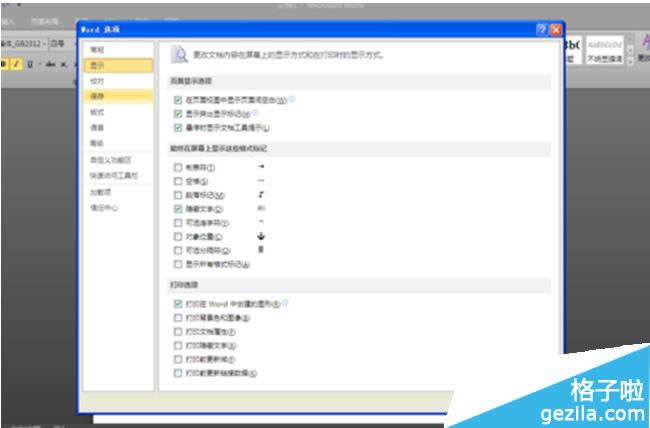 office2010[