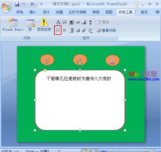 PowerPoint2007x} 