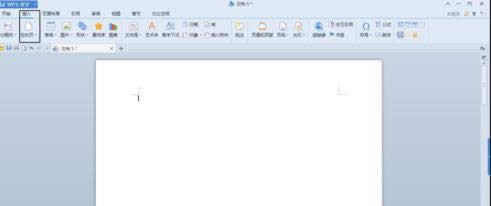WPSȥWORDęnˮӡ