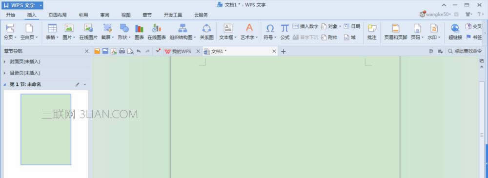 wpsӔ־̖