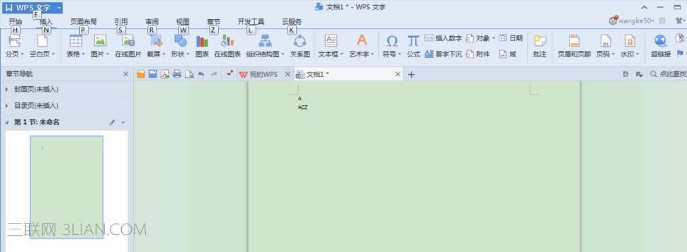 wpsӔ־̖