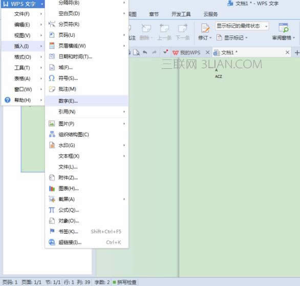 wpsӔ־̖