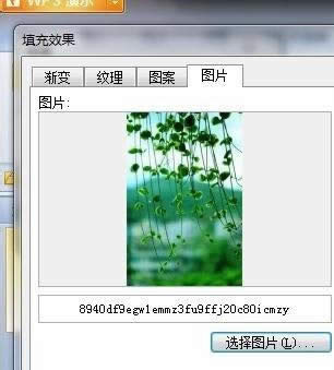 wpsʾΞpptDƬ