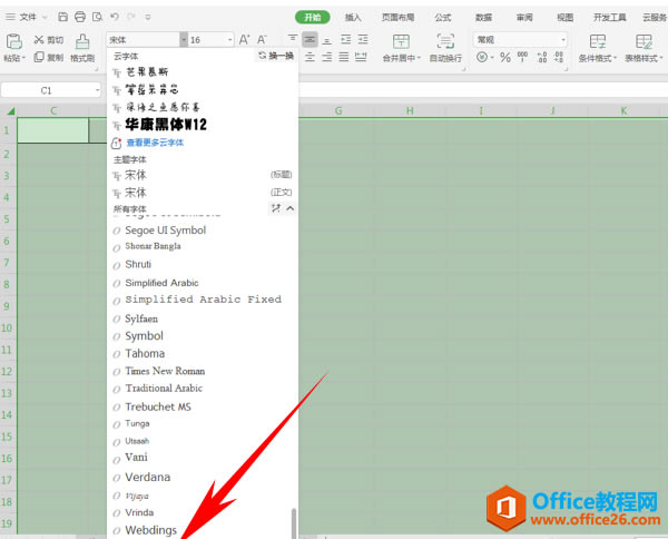WPS excelWingdingsw