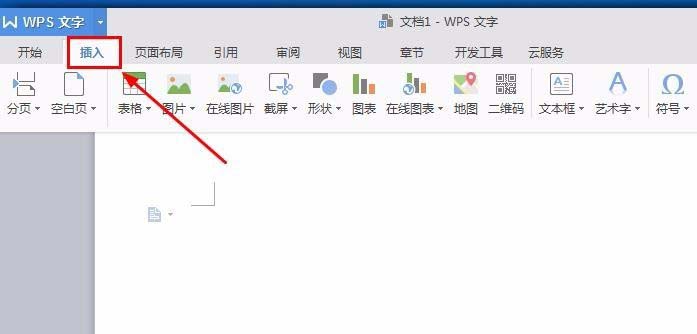wpsôOӋ_վ