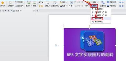 WPSôDDƬ_վ