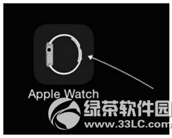 ֙Cqq@ʾapple watchھDĽ̳