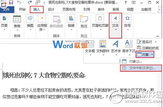 word2013Ӻϲ(g)ęn word2013ϲ(g)ęnk