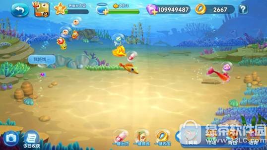 ~B(yng)~ô ~B(yng)~ϵy(tng)淨Ԕ