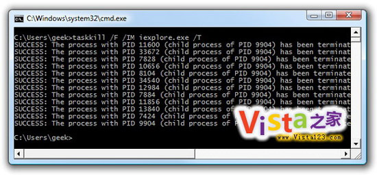 `ʹ һP]VistaIE8M