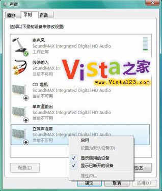 VistaOw