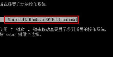 xp_C{ʾM̳ʼʧ̎