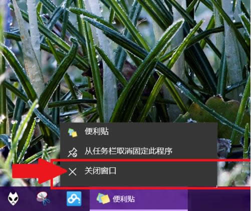 Win10㺞NNδ_\kB
